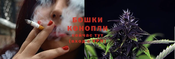 спиды Горно-Алтайск
