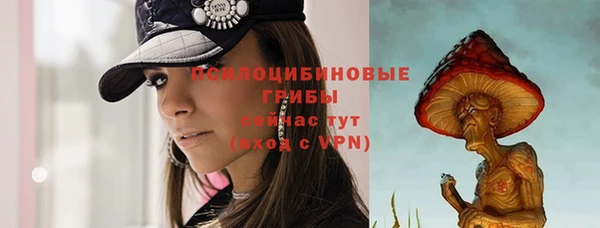 дурь Горняк